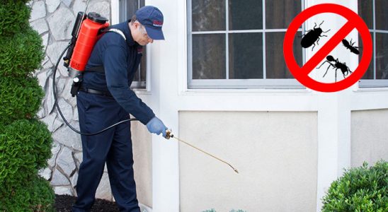 Sındırgı Bit İlaçlama böcek ilaçlama ve haşere kontrolü — ilaclama-tr.com